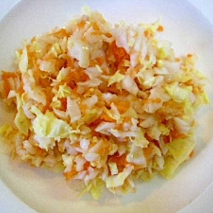 愛犬用 白身魚と野菜のごはん レシピ 作り方 By ぷ みぃまま 楽天レシピ 愛犬用 白身魚と野菜のごはん レシピ 作り方 By ぷ みぃまま 楽天レシピ